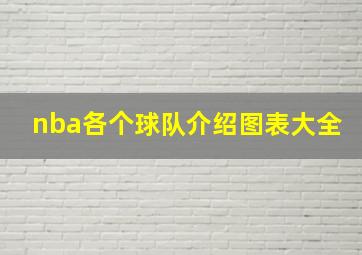 nba各个球队介绍图表大全