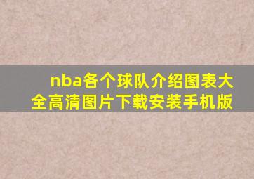 nba各个球队介绍图表大全高清图片下载安装手机版