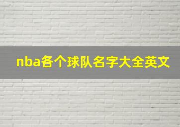 nba各个球队名字大全英文