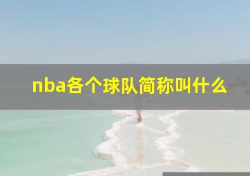 nba各个球队简称叫什么