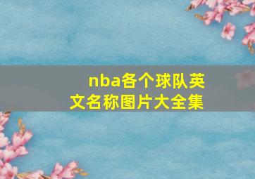 nba各个球队英文名称图片大全集