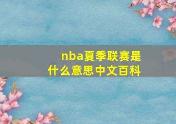 nba夏季联赛是什么意思中文百科