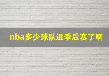 nba多少球队进季后赛了啊