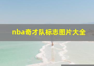 nba奇才队标志图片大全