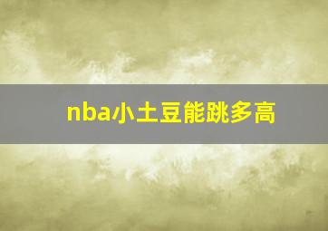 nba小土豆能跳多高