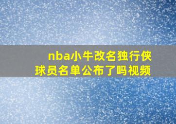 nba小牛改名独行侠球员名单公布了吗视频