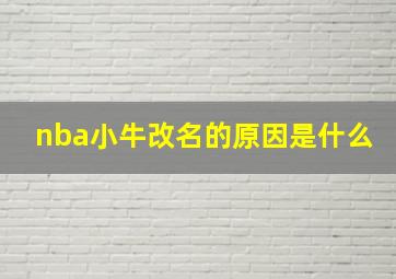 nba小牛改名的原因是什么