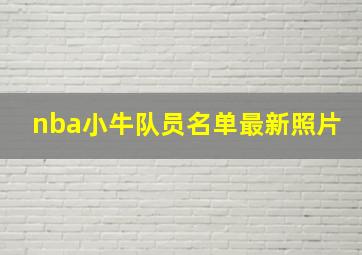 nba小牛队员名单最新照片