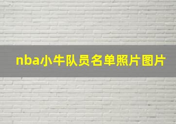 nba小牛队员名单照片图片