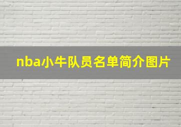 nba小牛队员名单简介图片