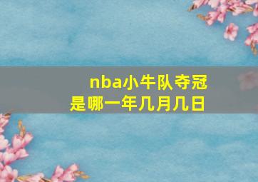 nba小牛队夺冠是哪一年几月几日