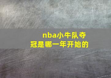 nba小牛队夺冠是哪一年开始的