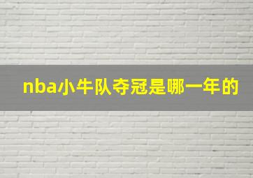 nba小牛队夺冠是哪一年的