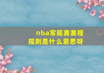 nba常规赛赛程规则是什么意思呀