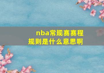 nba常规赛赛程规则是什么意思啊