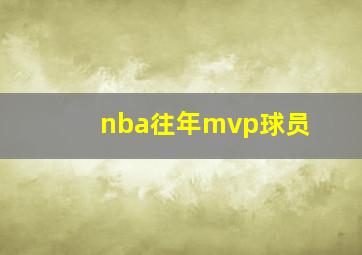 nba往年mvp球员