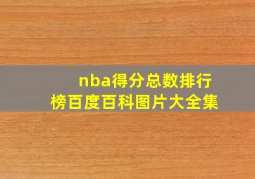 nba得分总数排行榜百度百科图片大全集