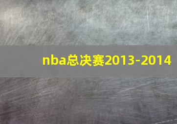 nba总决赛2013-2014