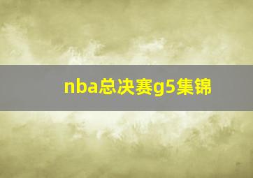 nba总决赛g5集锦