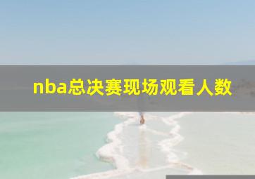 nba总决赛现场观看人数