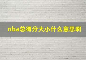 nba总得分大小什么意思啊