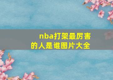 nba打架最厉害的人是谁图片大全