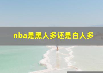 nba是黑人多还是白人多