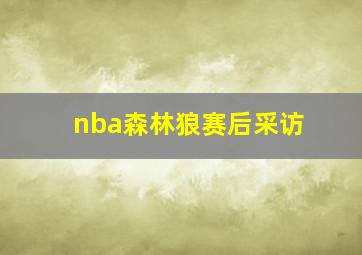 nba森林狼赛后采访