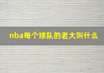 nba每个球队的老大叫什么