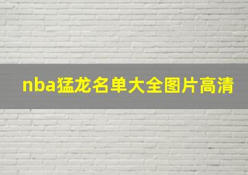 nba猛龙名单大全图片高清