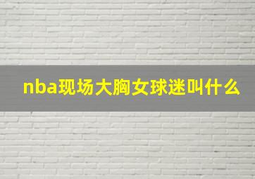 nba现场大胸女球迷叫什么