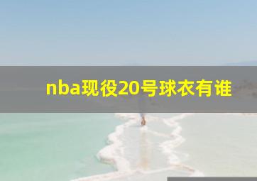 nba现役20号球衣有谁