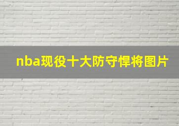 nba现役十大防守悍将图片