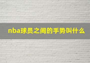 nba球员之间的手势叫什么