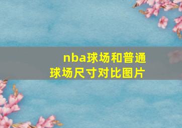 nba球场和普通球场尺寸对比图片