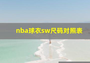 nba球衣sw尺码对照表