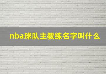 nba球队主教练名字叫什么