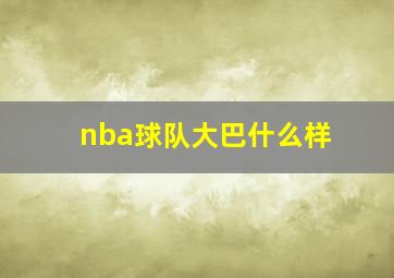 nba球队大巴什么样