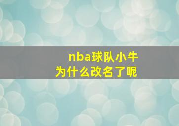 nba球队小牛为什么改名了呢