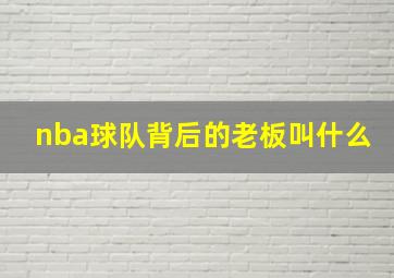 nba球队背后的老板叫什么