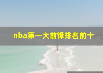 nba第一大前锋排名前十