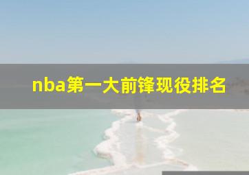 nba第一大前锋现役排名