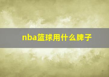 nba篮球用什么牌子