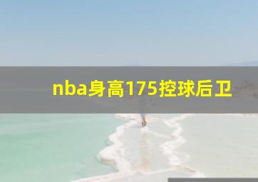 nba身高175控球后卫