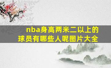 nba身高两米二以上的球员有哪些人呢图片大全