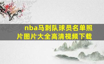 nba马刺队球员名单照片图片大全高清视频下载