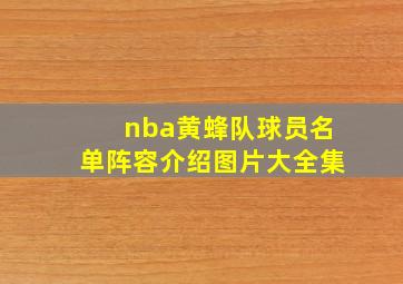 nba黄蜂队球员名单阵容介绍图片大全集