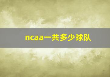 ncaa一共多少球队