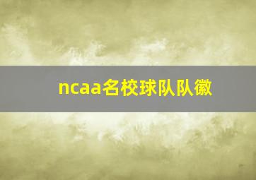 ncaa名校球队队徽