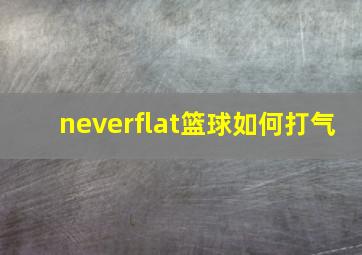 neverflat篮球如何打气